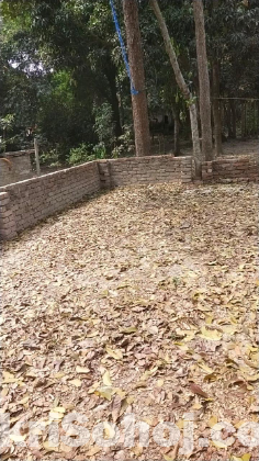 Monihar Er Kace Jhumjhumpur Bisic Area মান্দারতলা মোড়